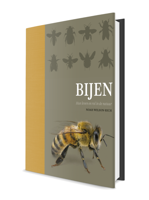 boek-bijen-hun-leven-en-rol-in-de-natuur