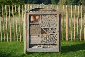 Help wilde bijen bijvriendelijke omgeving